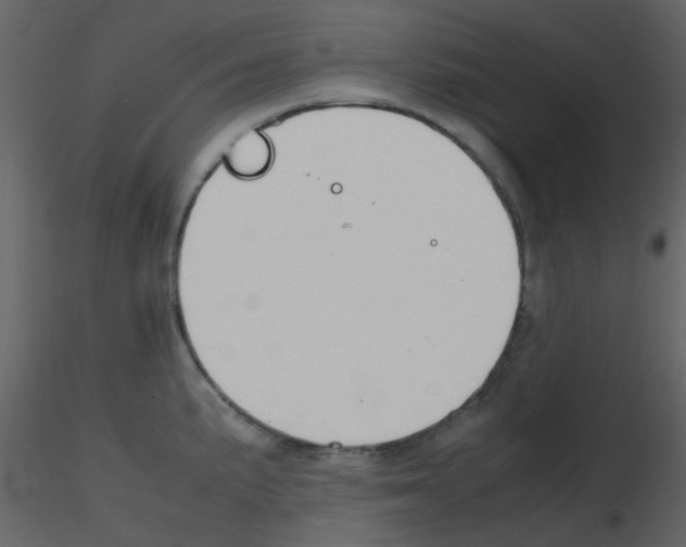 X0000115761191200912241722