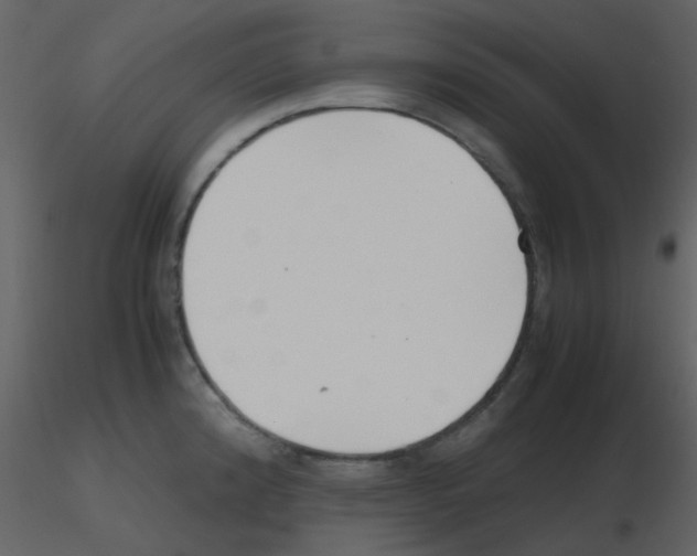 X0000115761192200912241722