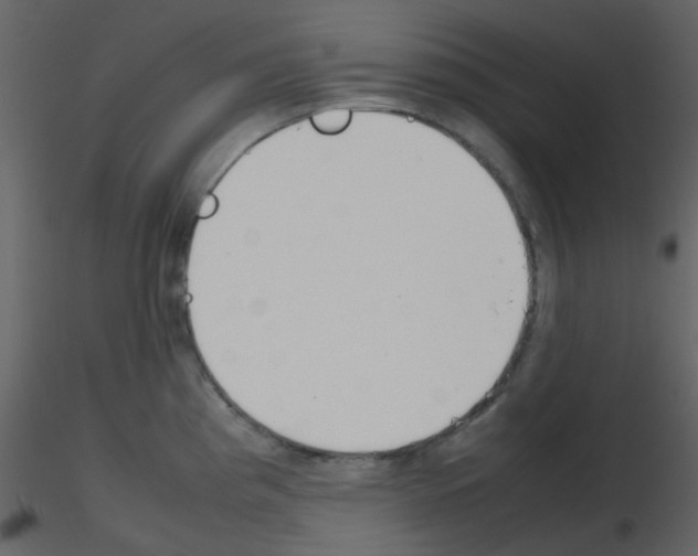 X0000115761193200912241722