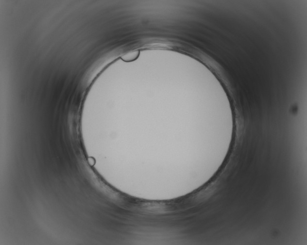 X0000115761194200912241722