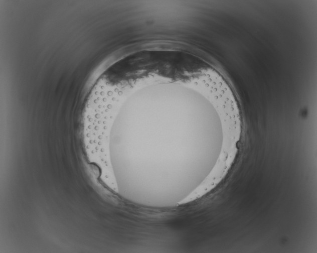 X0000115761195200912241722