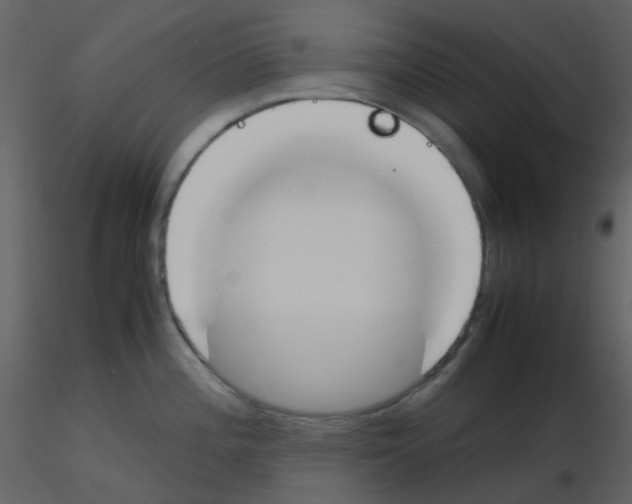 X0000115761196200912241722
