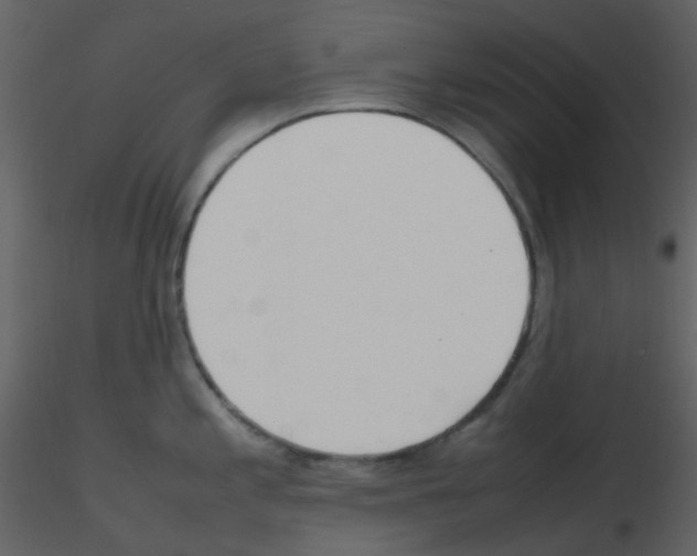 X0000115761197200912241722