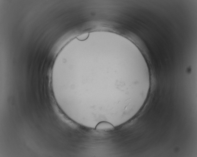 X0000115761198200912241722