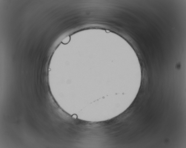 X0000115761199200912241722