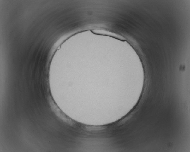 X0000115761200200912241722
