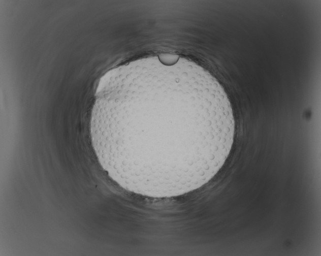 X0000115761201200912241722