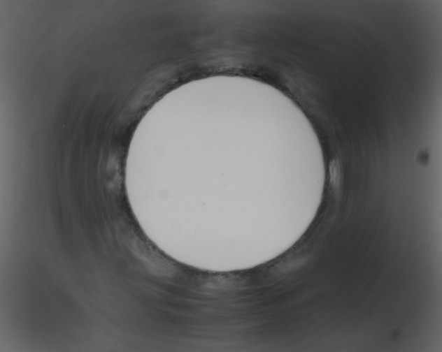 X0000115761203200912241722