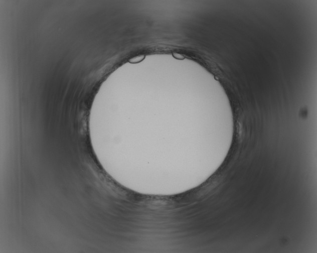 X0000115761204200912241722