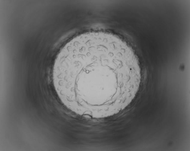 X0000115761205200912241722