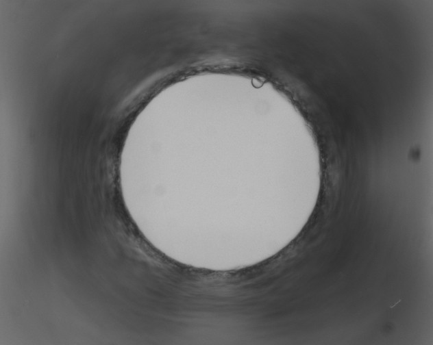 X0000115761206200912241722