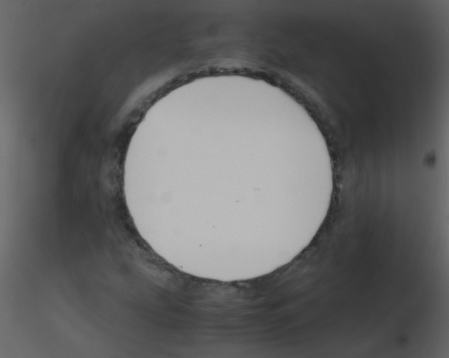 X0000115761207200912241722