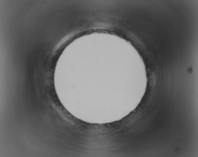 X0000115761208200912241722