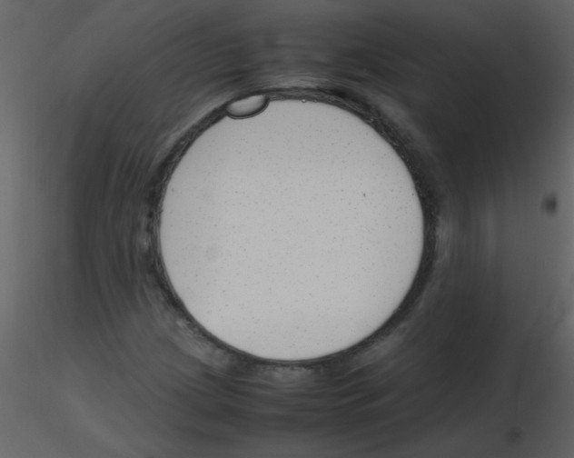 X0000115761209200912241722