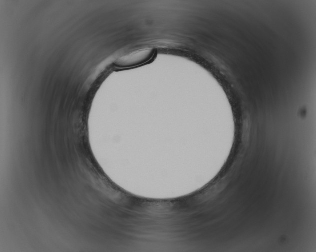 X0000115761210200912241722