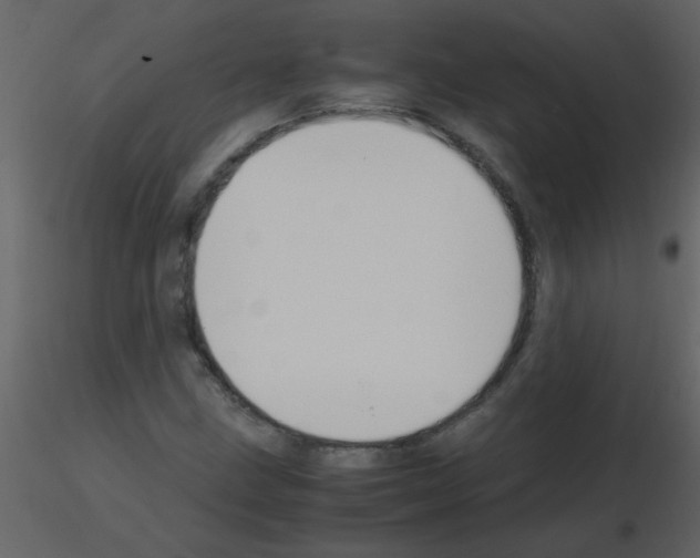 X0000115761211200912241722