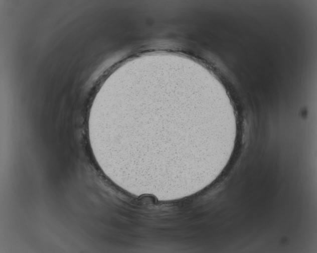X0000115761213200912241722