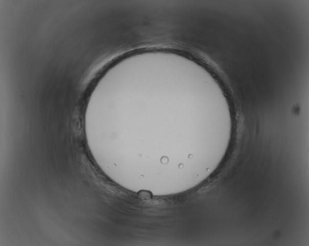 X0000115761215200912241722