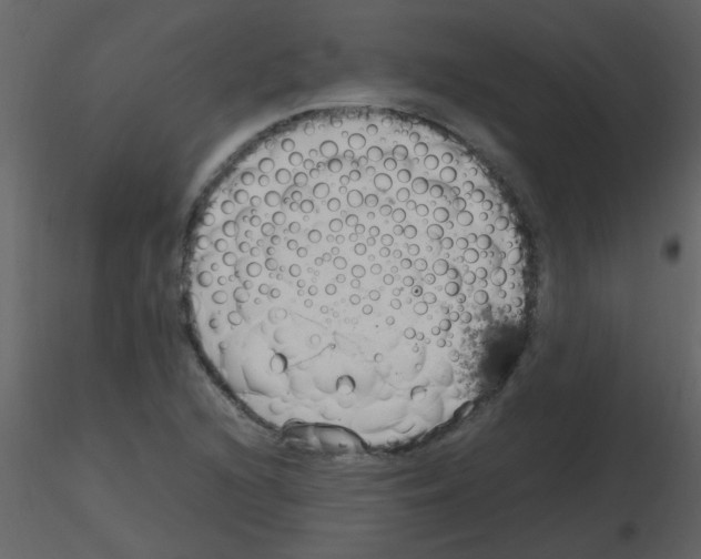 X0000115761216200912241722
