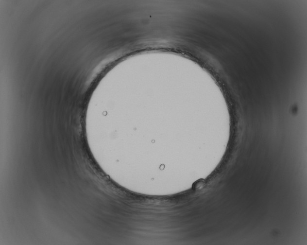 X0000115761218200912241722