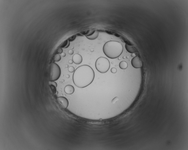 X0000115761219200912241722