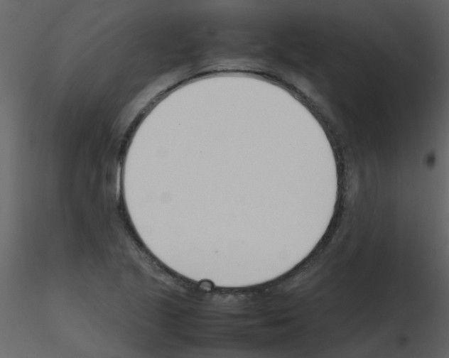 X0000115761221200912241722