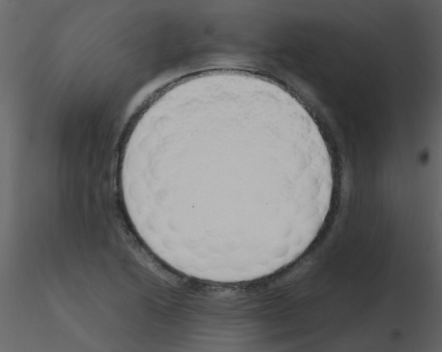 X0000115761222200912241722