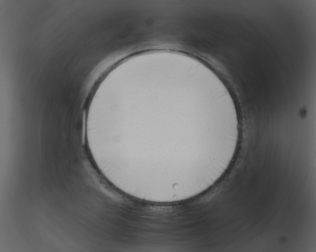 X0000115761223200912241722