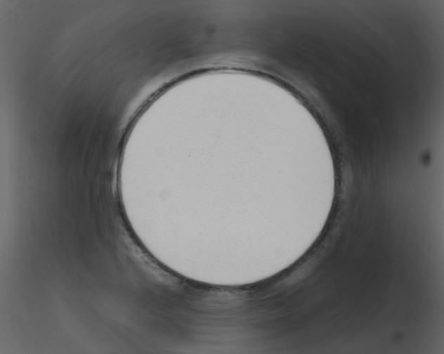 X0000115761224200912241722