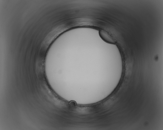 X0000115761225200912241722