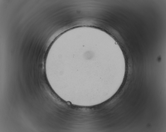 X0000115761226200912241722