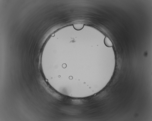 X0000115761227200912241722