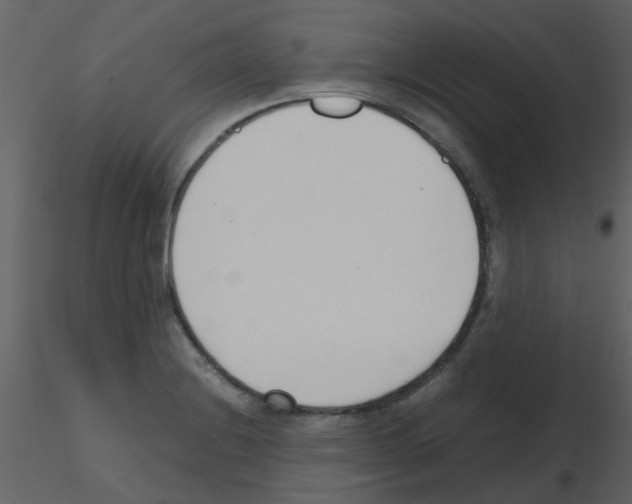 X0000115761228200912241722