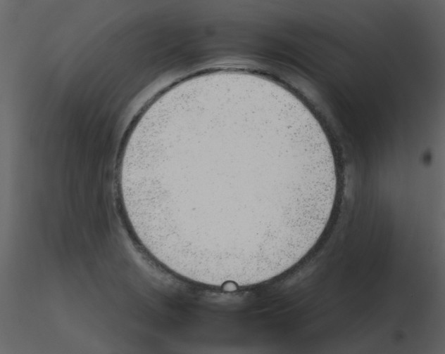 X0000115761229200912241722