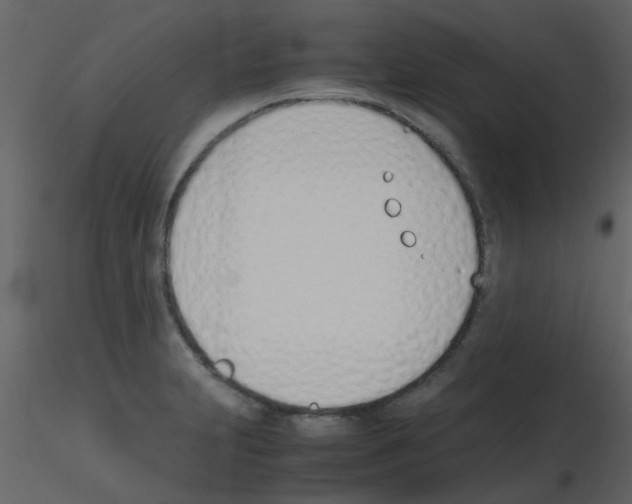 X0000115761231200912241722