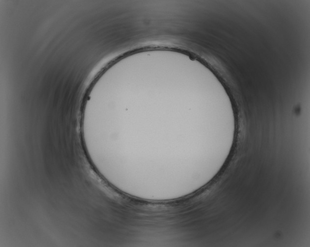 X0000115761232200912241722