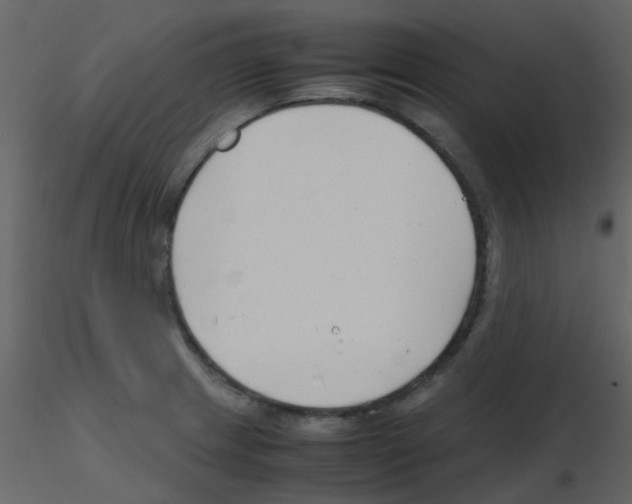 X0000115761233200912241722