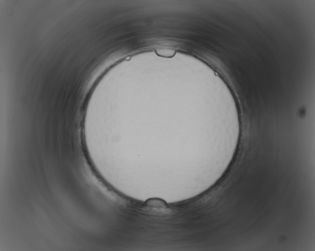X0000115761235200912241722