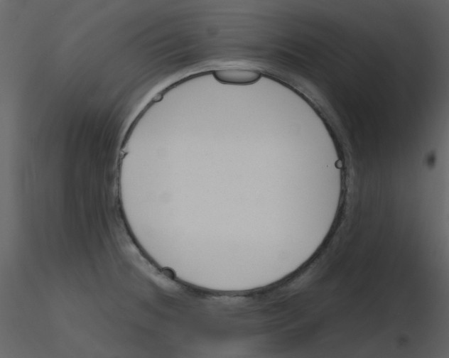 X0000115761236200912241722