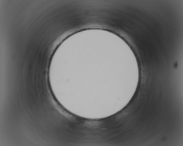 X0000115761237200912241722