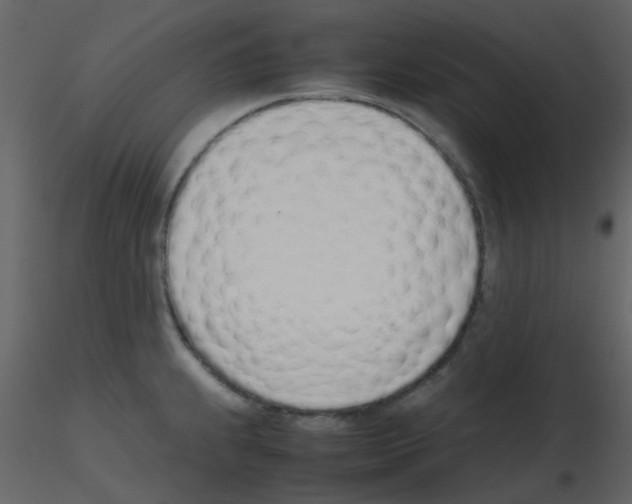 X0000115761239200912241722
