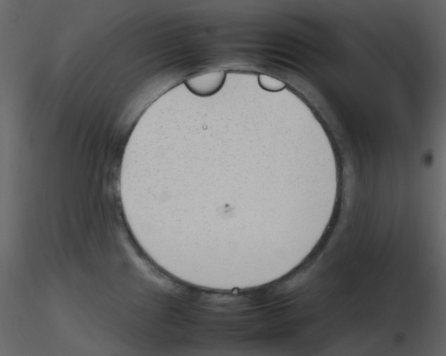 X0000115761241200912241722