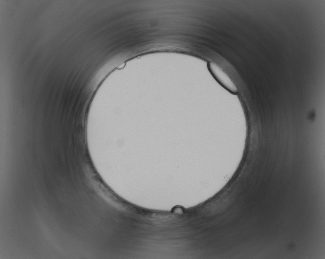 X0000115761242200912241722