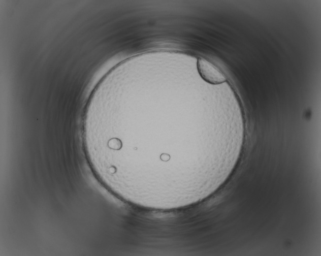 X0000115761243200912241722