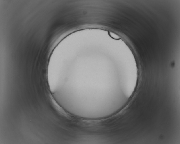 X0000115761244200912241722