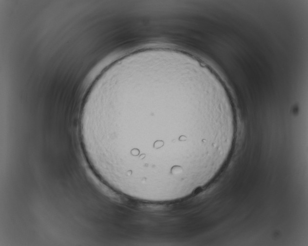 X0000115761245200912241722