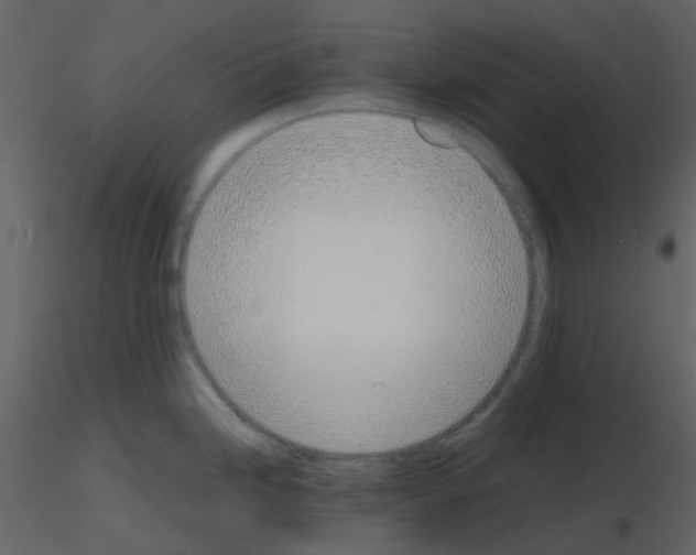 X0000115761246200912241722