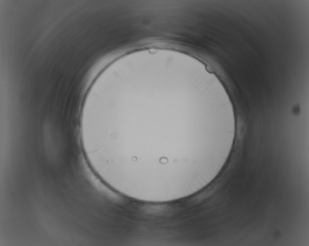 X0000115761247200912241722