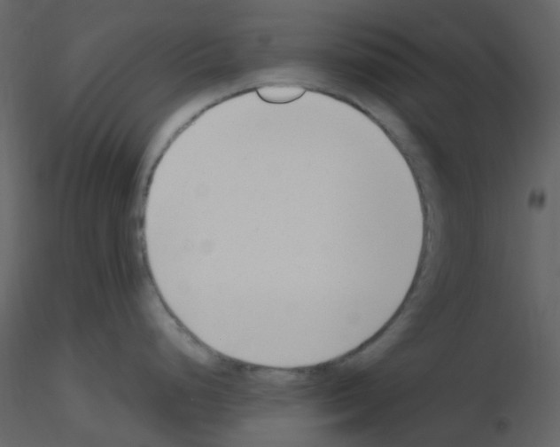 X0000115761248200912241722