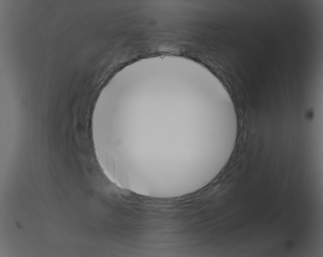 X0000115761249200912241722